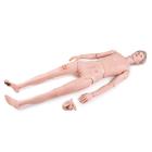 3B Scientific® Patient Care Manikin Basic, Light Skin, 1018817 [P11/1], Adult Patient Care