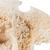 Половина черепа лошади (Equus ferus ­caballus), препарат, 1021008 [T300172], Скелеты сельскохозяйственных животных (Small)