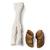 Bovine foot (Bos taurus), specimen, 1021063 [T300311], 骨学 (Small)
