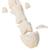 Huesos del metatarso de Caballo, 1021068 [T30069], Osteología (Small)