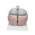 Giant Human Brain Model, 2.5 times Full-Size, 14 part, 1001261 [VH409], Brain Models (Small)