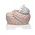 Giant Human Brain Model, 2.5 times Full-Size, 14 part, 1001261 [VH409], Brain Models (Small)