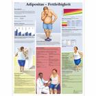 Adipositas - Fettleibigkeit, 1001396 [VR0460L], Las adicciones