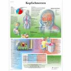 Kopfschmerzen, 1001442 [VR0714L], Cérebro e sistema nervoso