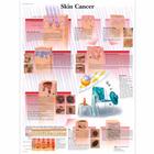 Skin Cancer, 1001514 [VR1295L], Плакаты по раку (заболевание)