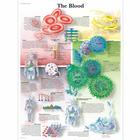 The Blood, 1001538 [VR1379L], Плакаты по кардиоваскулярной системе