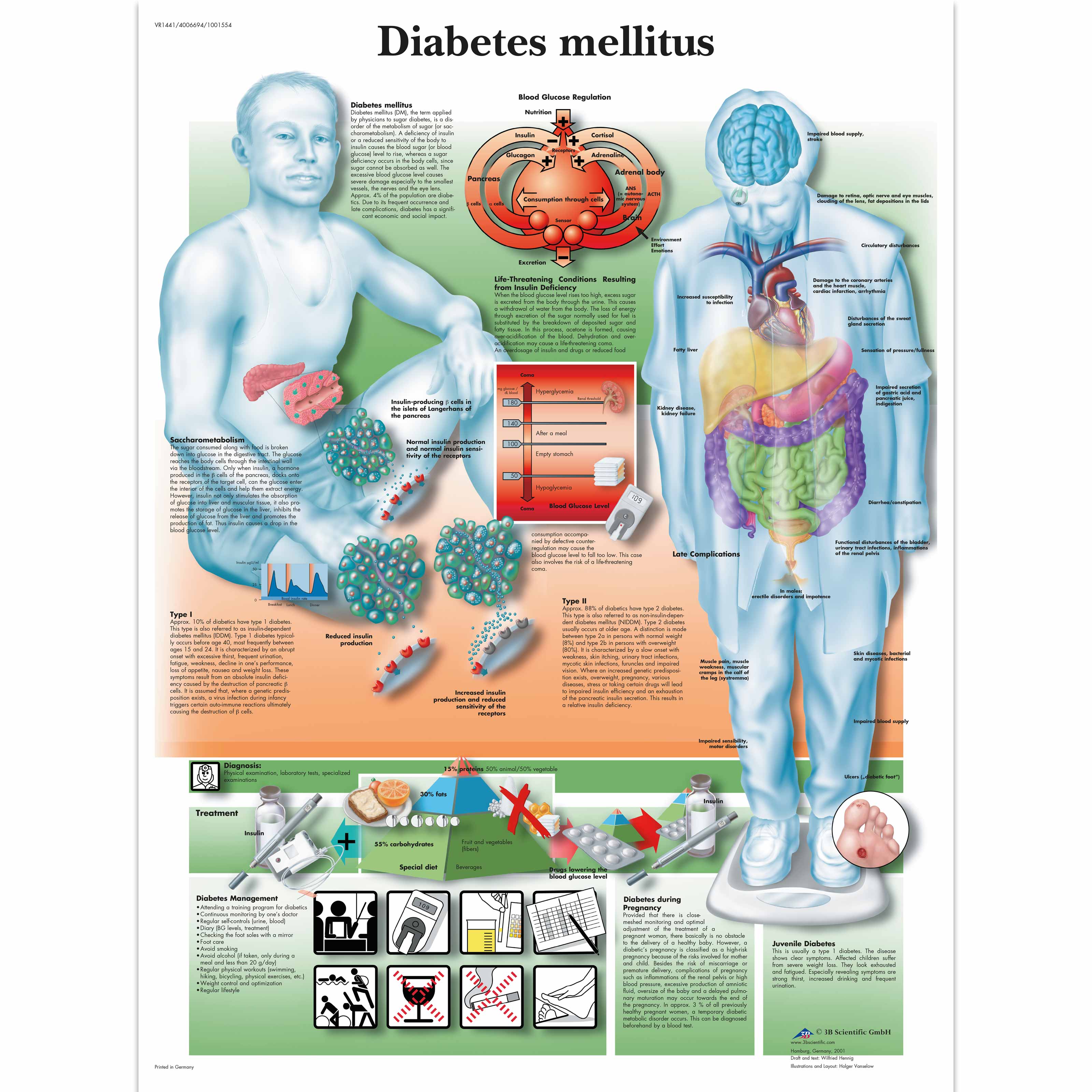 Diabetes Chart Diabetes Poster Anatomical Charts Anatomy Posters
