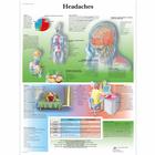 Headaches, 1001604 [VR1714L], Плакаты по мозгу и нервной системе
