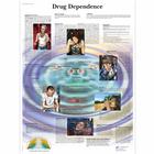 Drug Dependence, 4006726 [VR1781UU], Strumenti didattici sul fumo