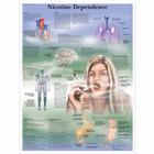 Nicotine Dependence, 1001622 [VR1793L], Вред табакокурения