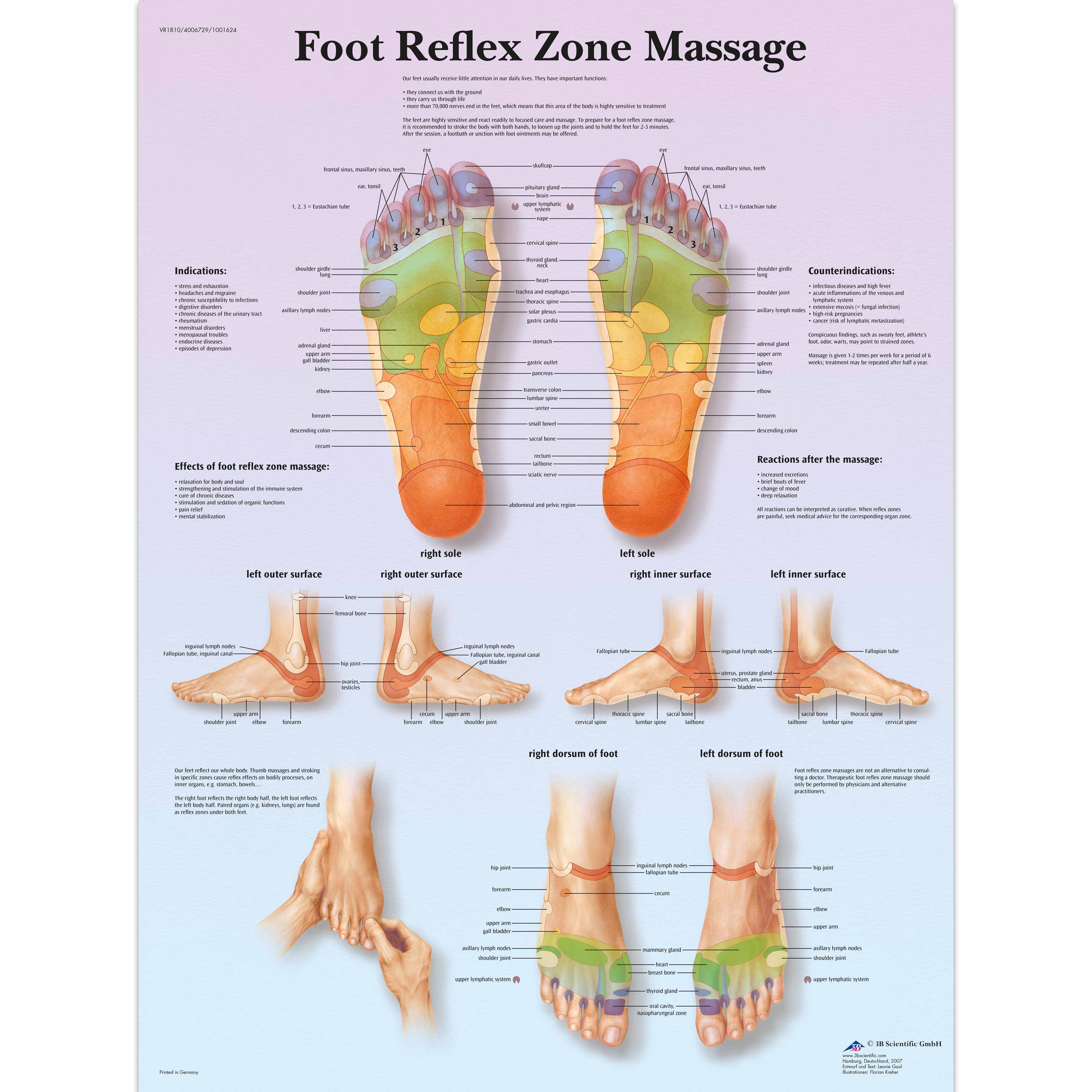 Anatomical Charts And Posters Anatomy Charts Foot Reflex Zone Massage Paper Chart