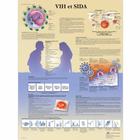   VIH et SIDA, 4006804 [VR2725UU], 性及药物教育