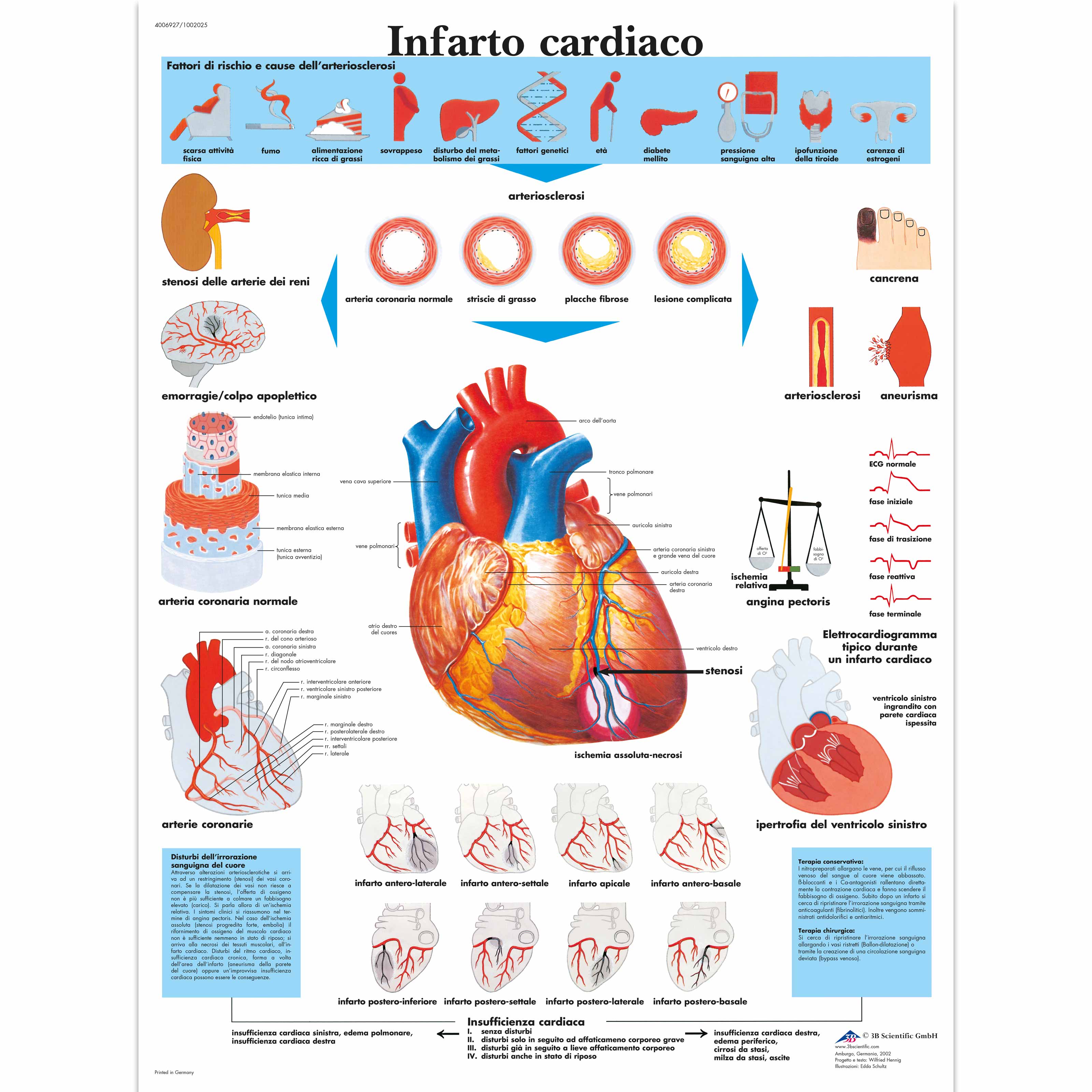 POSTER - L'apparato urinario, Anatomia e fisiologia (Laminata)