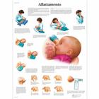 Allattamento, 1002079 [VR4557L], Плакаты по беременности и родам