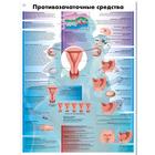 Медицинский плакат "Противозачаточные меры", 1002321 [VR6591L], Плакаты по гинекологии