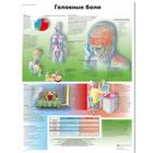 Медицинский плакат "Головные боли", 1002345 [VR6714L], Cerebro y sistema nervioso