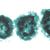 Algas - Alemão, 1003888 [W13012], Preparados para microscopia LIEDER (Small)