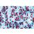 Angiospermas, Células e tecidos - Francês, 1003909 [W13017F], Preparados para microscopia LIEDER (Small)