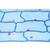 Angiospermas, Células e tecidos - Francês, 1003909 [W13017F], Preparados para microscopia LIEDER (Small)
