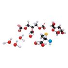 Сборная модель молекулы Organik D, molymod®, 1005278 [W19700], Molecule Building Sets
