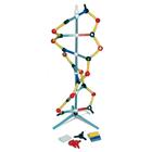 Маленькая модель ДНК Orbit™, 1005317 [W19820], Модели ДНК