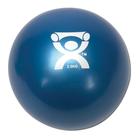 Cando Plyometric Weighted Ball, blue, 5.5 lbs | Alternative to dumbbells, 1008996 [W40124], 测重