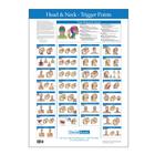 Trigger Point Chart Head and Neck, W41172HN, Acupuncture