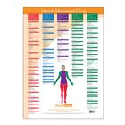 Trigger Point Chart Muscle Movement, W41172MM, Terapia de libros y software