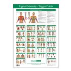 Trigger Point Chart Upper Extremity, W41172UE, Acupuncture