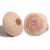 Modèle en tissu de la poitrine, 3004608 [W43044], Modèles mammaires (Small)