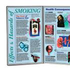 Smoking Education Package, 3004622 [W43063], Educación sobre el tabaco