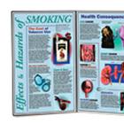 Effects & Hazards of Smoking, 3004623 [W43064], Éducation Tabac