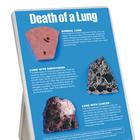 Death of a Lung Easel Display, 3004660 [W43111], Éducation Tabac