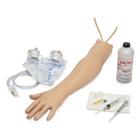 Тренажер руки для практики гемодиализа, 1020185 [W44767], Тренажеры и симуляторы по уходу за взрослыми пациентами