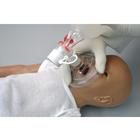 Newborn Multipurpose Patient Simulator, 1019861 [W45170], Тренажеры и симуляторы по уходу за новорожденными