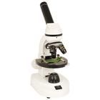 Professor Monocular Microscope, W49995, Microscopes monoculaires