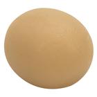 Cando Exercise Hand Balls - Cylindrical, 1015402 [W58502T], Hand Strength Training