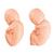 Сменные плоды для модели 5 месяца беременности с двойней, 1020702 [XL005], Дополнительная комплектация (Small)